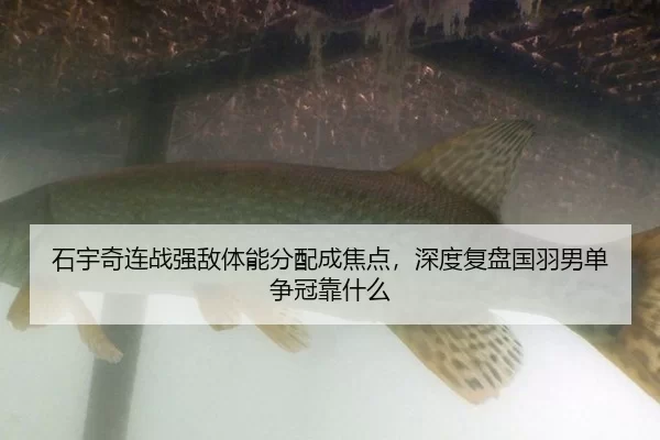 石宇奇连战强敌体能分配成焦点，深度复盘国羽男单争冠靠什么